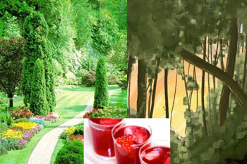 Cultured garden and wilderness with red berry juice