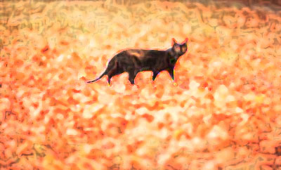 Cat in fall leaves