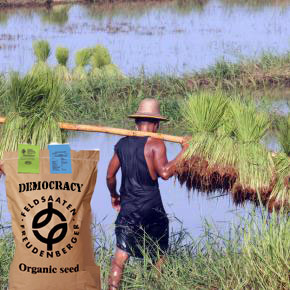 Field with bag of democracy seeds