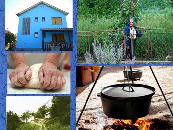 Collage of photos from Serbian farms