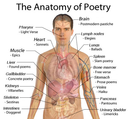 Diagram of human body with types of poetry