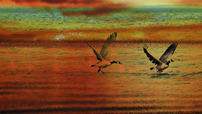 Geese superimposed over sunrise