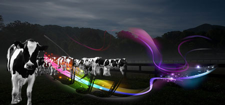 Cows in nighttime pasture with music notes