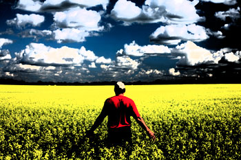 Farmer in field