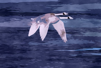 Geese flying above dark blue water