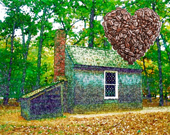 Thoreau's cabin with a heart made of coffee beans