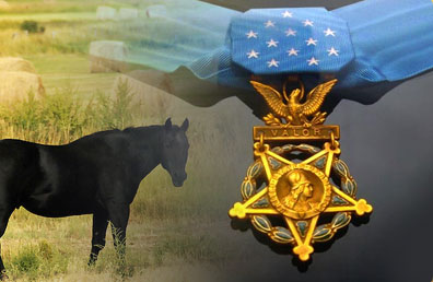 Medal of Honor and black horse