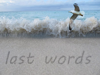 Tide rolling in with a seagull and the legend 'last words'
