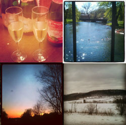 Four photos from different seasons