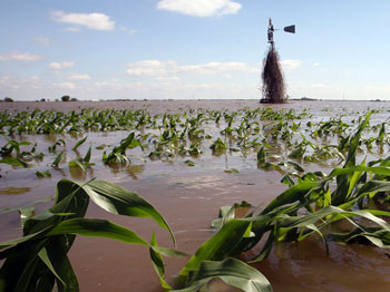 Field flooded by Iowa River