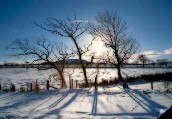 Snowy landscape