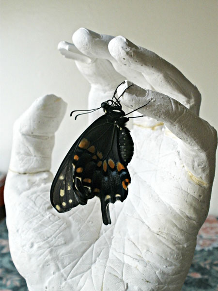 Butterfly on hand statue