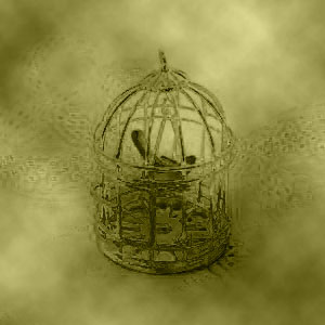 Bird in golden cage