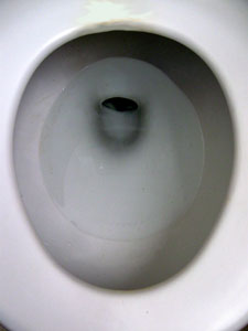 Toilet bowl