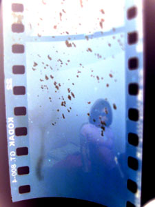 Strip of damaged film