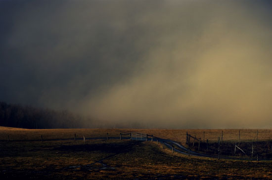 Late Light, Empty Field by Mary Ann Reilly