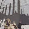 Environmental Crisis