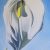 Spirit Lily II