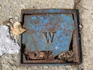 "W" on Sidewalk Plate