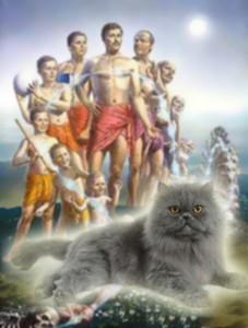 Reincarnated people with cat