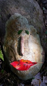 Stone face with leaves